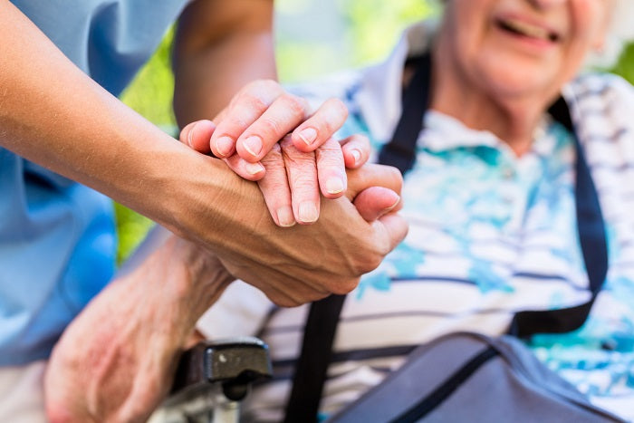 Visiting Companions' Services